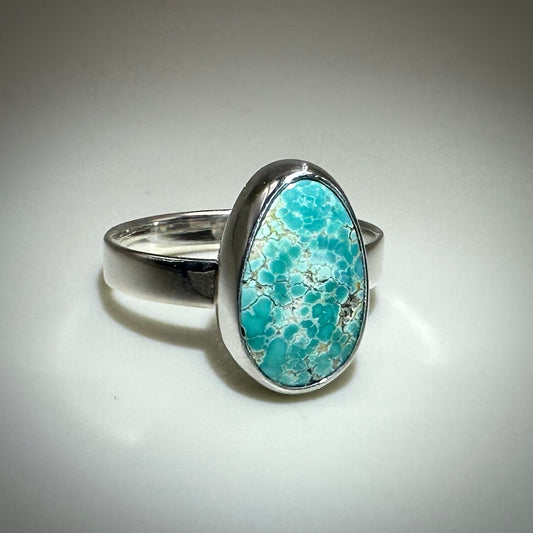 Brannon Blue Turquoise in Sterling Silver size 10 band